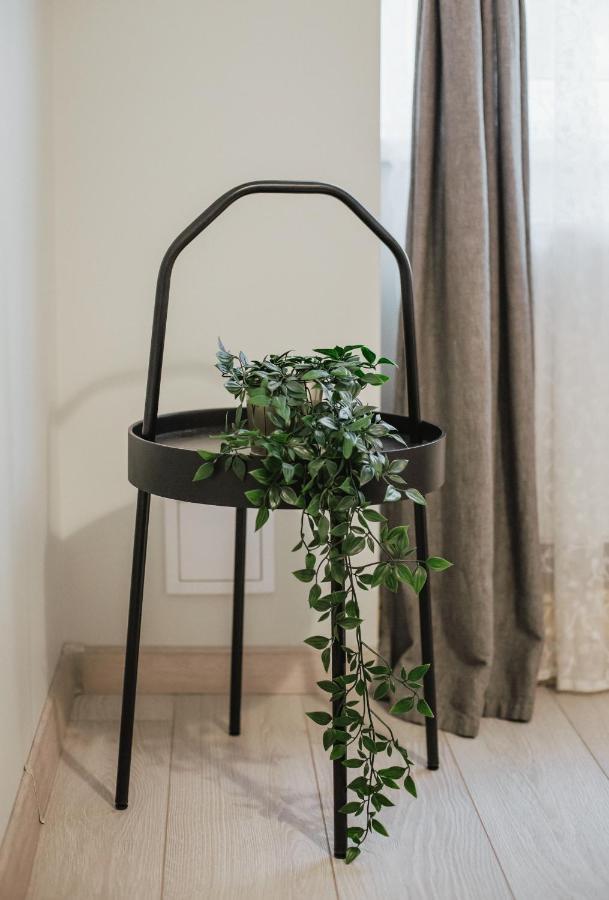 Rozenstein Design Apartment Brocēni Exteriér fotografie